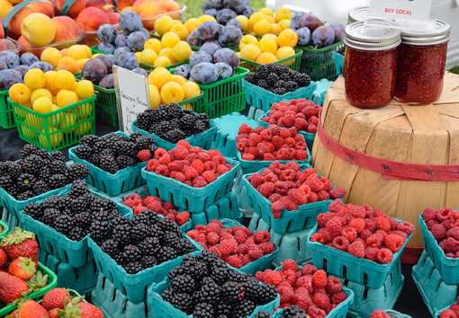 8 Best Farmers Markets in Illinois!